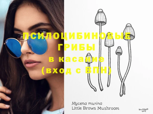 spice Алексин