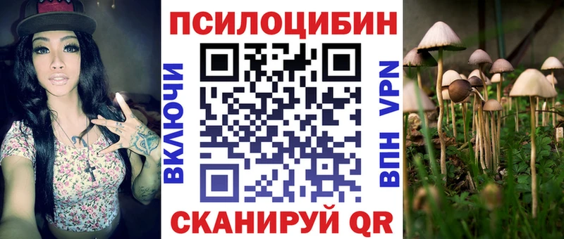 даркнет Telegram мега зеркало Родники Псилоцибиновые грибы Magic Shrooms